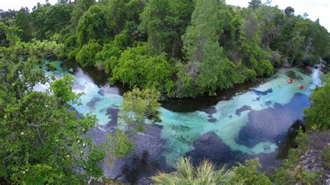 watchies|weeki wachee lazy river.